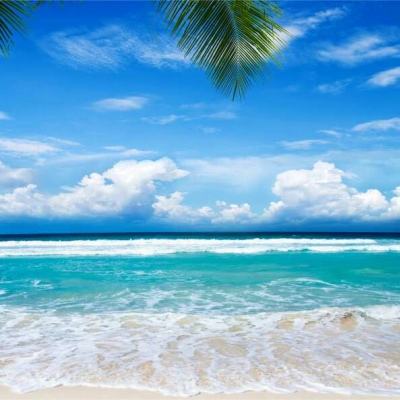 澳门一码一肖一特一中下载手机版